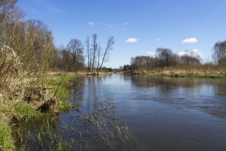 a 38